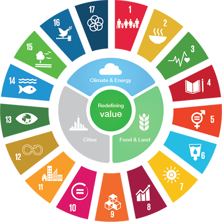 ebook the strategic procurement practice guide know how tools and techniques for global buyers 2017