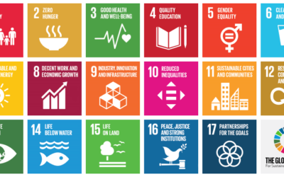 OECD and UNDP Launch Plan to Align Global Finance with SDG Goals