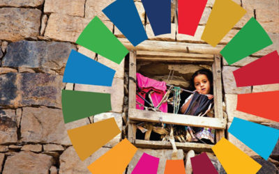 UN human rights mechanisms proving effective SDGs monitor