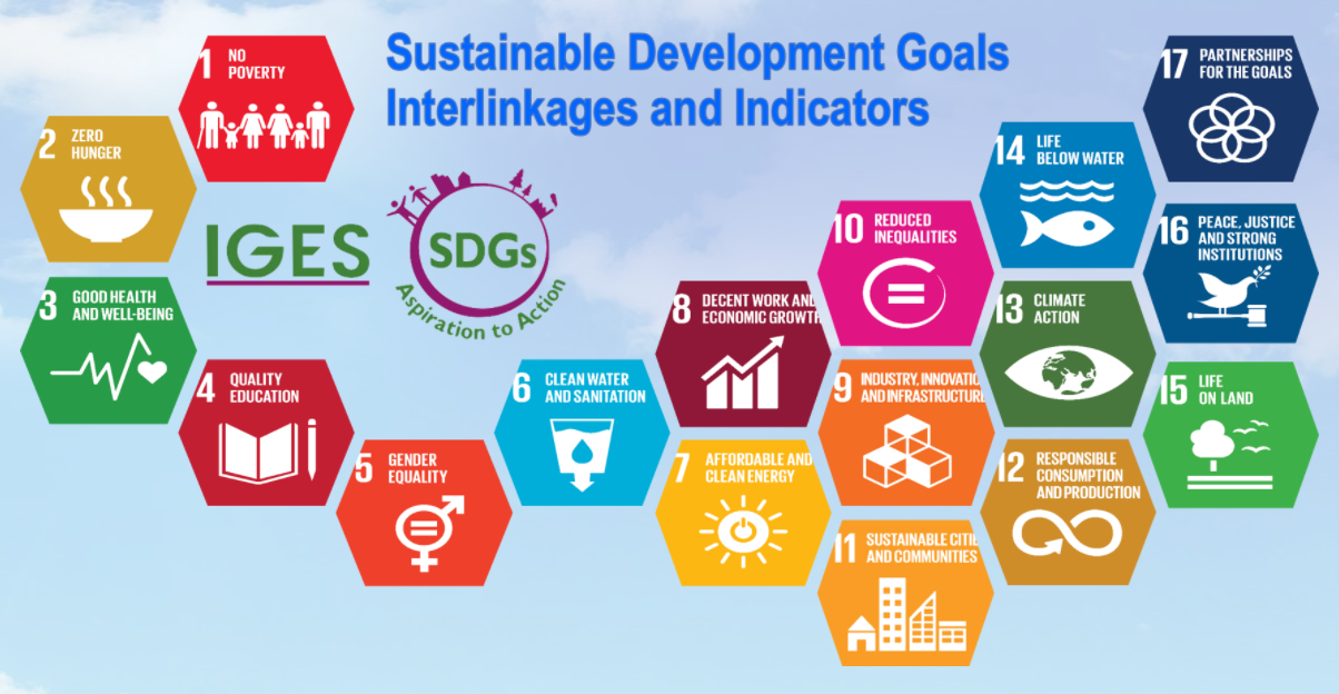 IGES SDG Data Visualization