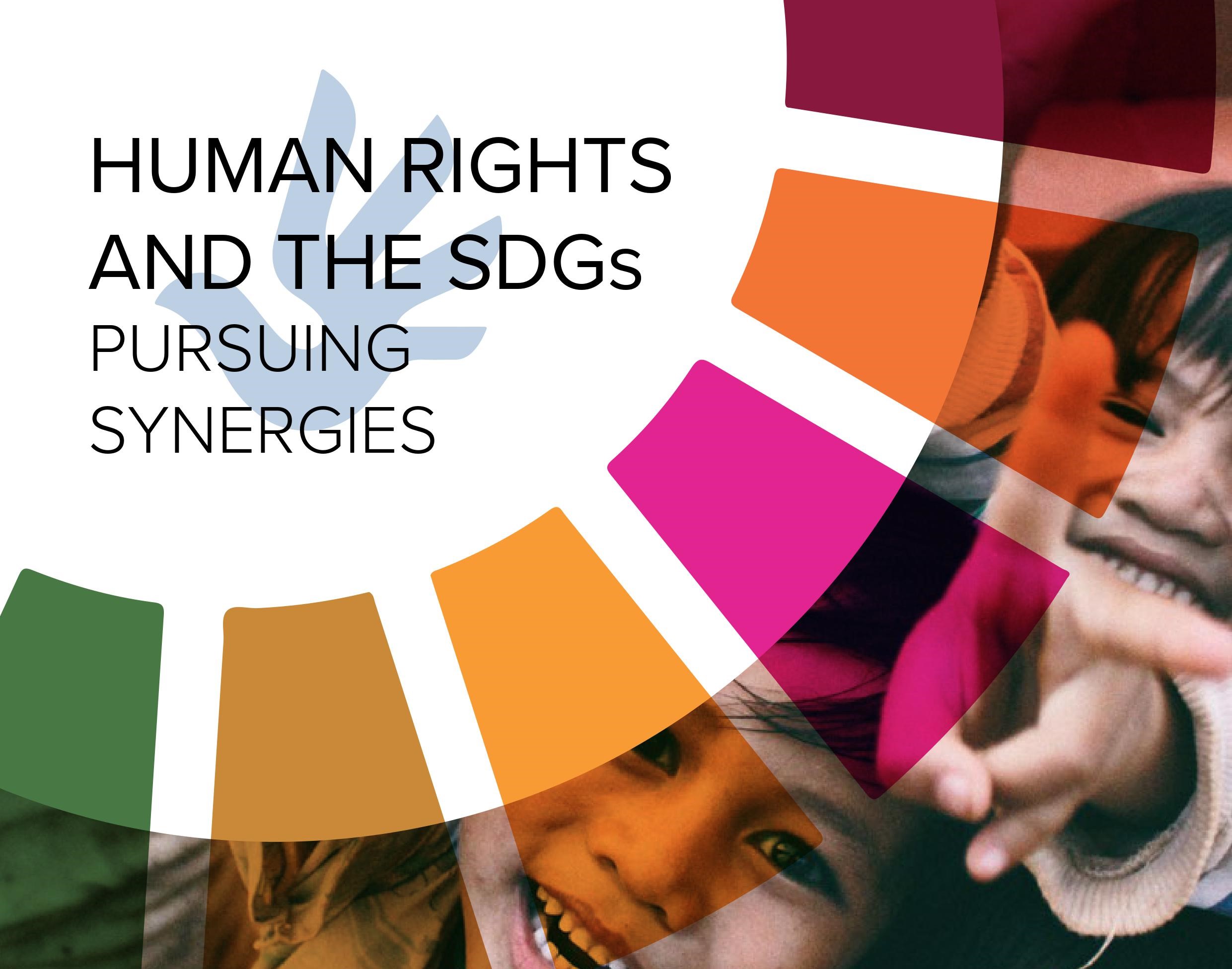 Human Rights and the SDGs 1