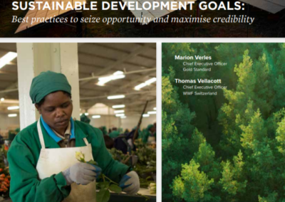 Business and the Sustainable Development Goals: Best practices to seize opportunity and maximise credibility