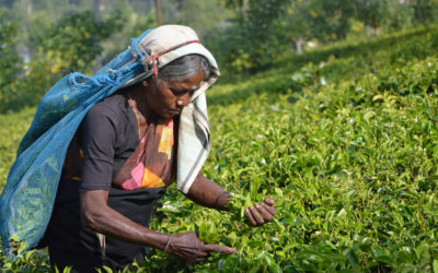 The Human Rights Opportunity: Companies demonstrate meaningful action for the SDGs