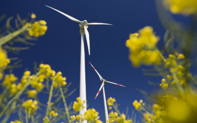 When will “socially responsible investing” become just “investing”?