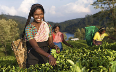 We are a world away from our sustainable development goals – but it’s not too late