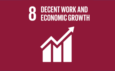 SDG 8: Top Tips for delivering green employment and economic growth