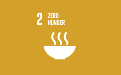 Guide to the SDGs: SDG2 – Zero Hunger