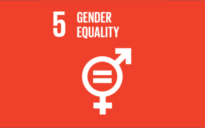 Guide to the SDGs: SDG5 – Gender Equality