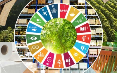 WBCSD’s Forest Solution Group leads development of SDG roadmap to catalyze forest sector’s impact on the SDGs