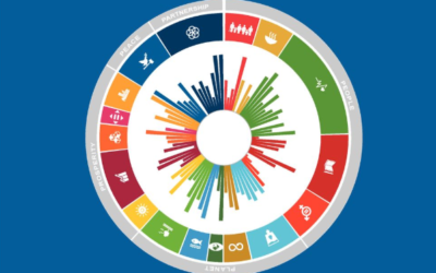 OECD finds advanced economies need to accelerate SDG implementation