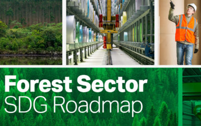 New roadmap to maximize the forest sector’s contribution to the Sustainable Development Goals