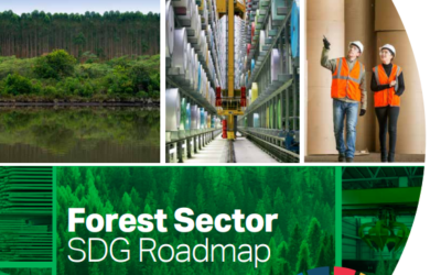 SDG Deep Dive Webinar – Maximizing SDG impact in the forest sector (Session 2)