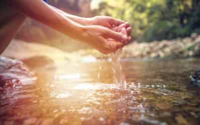 In it together: How Mondi is working with partners to tackle issues like clean water