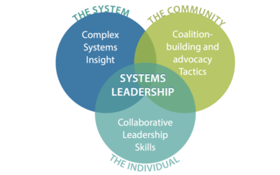 Systems Leadership Can Change the World – But What Exactly Is It?