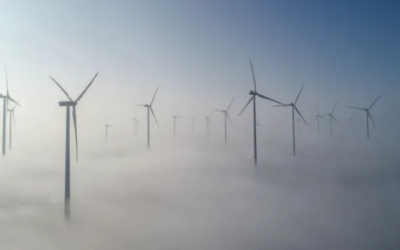 Green bonds on the rise