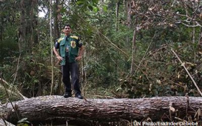 Greening the Wood Industry: Sustainability from Production to Consumption