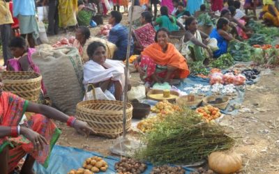 Global Inequality Continues to Grow: UNDESA Report