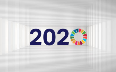 Entering a Decade of Action: Making the SDGs a matter of priority