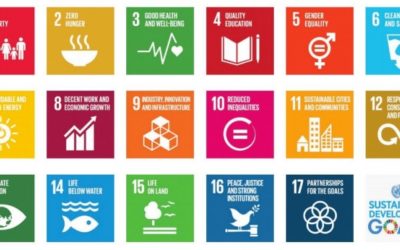 Op-Ed: Why despite COVID-19, Africa cannot lose sight of the SDGs