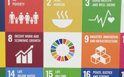 Are We Serious About Achieving the SDGs? A Statistician’s Perspective