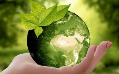 Comment inciter son boss à fixer des objectifs de développement durable