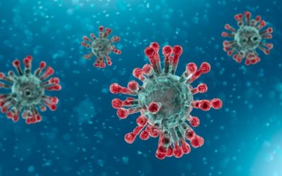 Three Priorities for Business on the Coronavirus