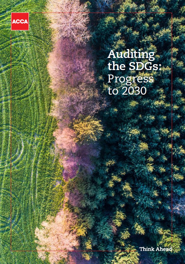 2020-04-06 16_25_30-pi-auditing-SDGs-progress-to-2030.JimmyGreer.pdf – Adobe Acrobat Reader DC