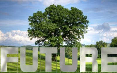 COVID-19: Four Sustainable Development Goals that help future-proof global recovery