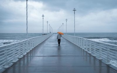 Aligning Corporate Ambition with an Ever-Changing World