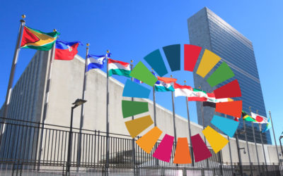 Why realizing the SDGs is more urgent than ever before