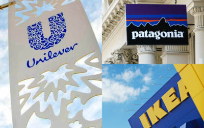 Patagonia, Unilever & IKEA Among The Brands Ranked By Experts As Global Sustainability Leaders