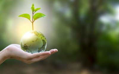 Transforming Sustainability Into A Competitive Advantage