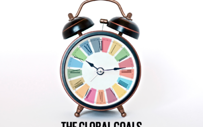 Is this a transformational moment for the Sustainable Development Goals?