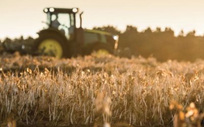 WBCSD supports the development of landmark SDG report focused on US Agriculture