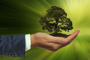 SDG Ambition Guides: A Call to Action to Create Solutions for Sustainability