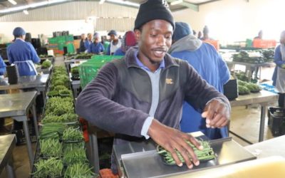 COVID-19 an Opportunity to Build Resilience around Food Systems