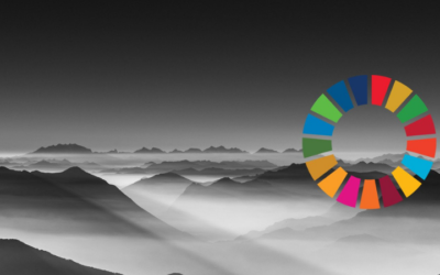 How the SDGs Can Change Your Organisation, From the Inside Out
