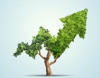 A sustainable economy can only be created if it works for everyone