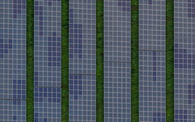 Seven ESG Trends to Watch in 2021