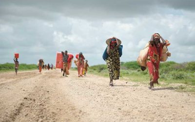 Corporate Reporting on SDGs: Challenges and Opportunities