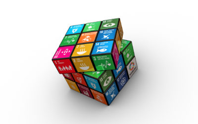 Harder but not impossible: COVID-19 and the Sustainable Development Goals
