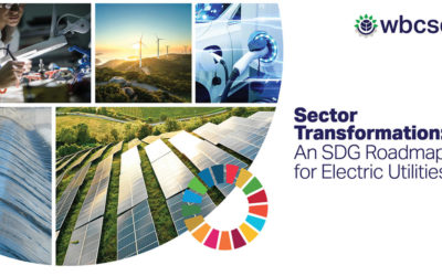 A new standard for electric utilities to maximize progress towards the SDGs