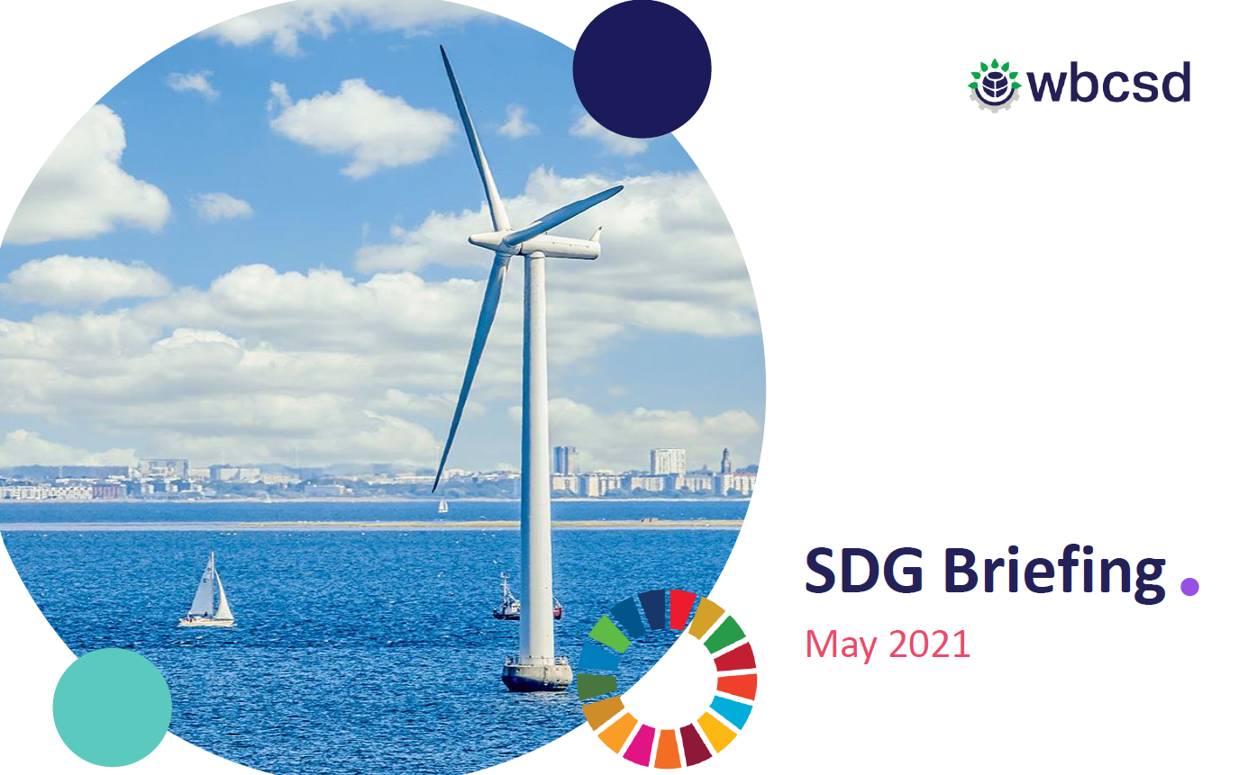 Webinars & briefing notes - SDG Business Hub