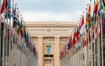 What is ‘coopetition’ and how can international organizations help?