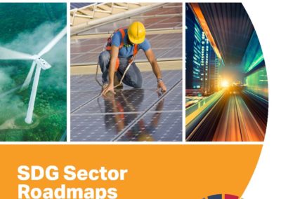 SDG Sector Roadmap: Guidelines to inspire sectors to drive transformation in support of the Sustainable Development Goals
