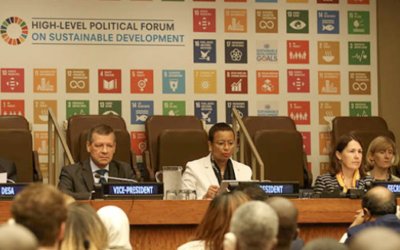 HLPF 2021 Prepares to Focus on Resilience, Recovery, Hope